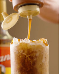 Torani Sauce  Pumpkin Pie 480ml